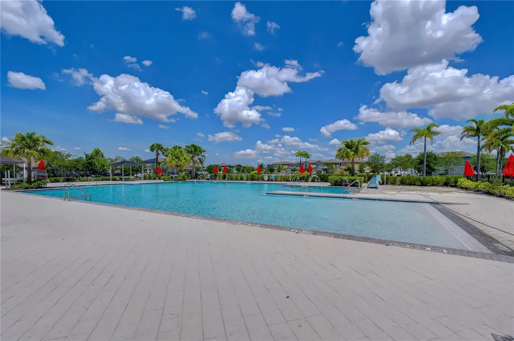 4321 Globe Thistle Drive Tampa FL 33619