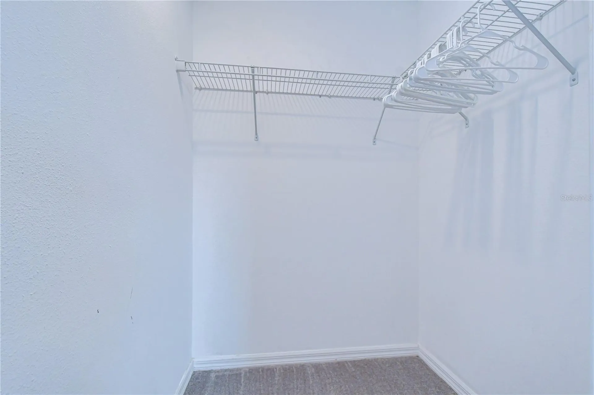 4321 Globe Thistle Drive Tampa FL 33619