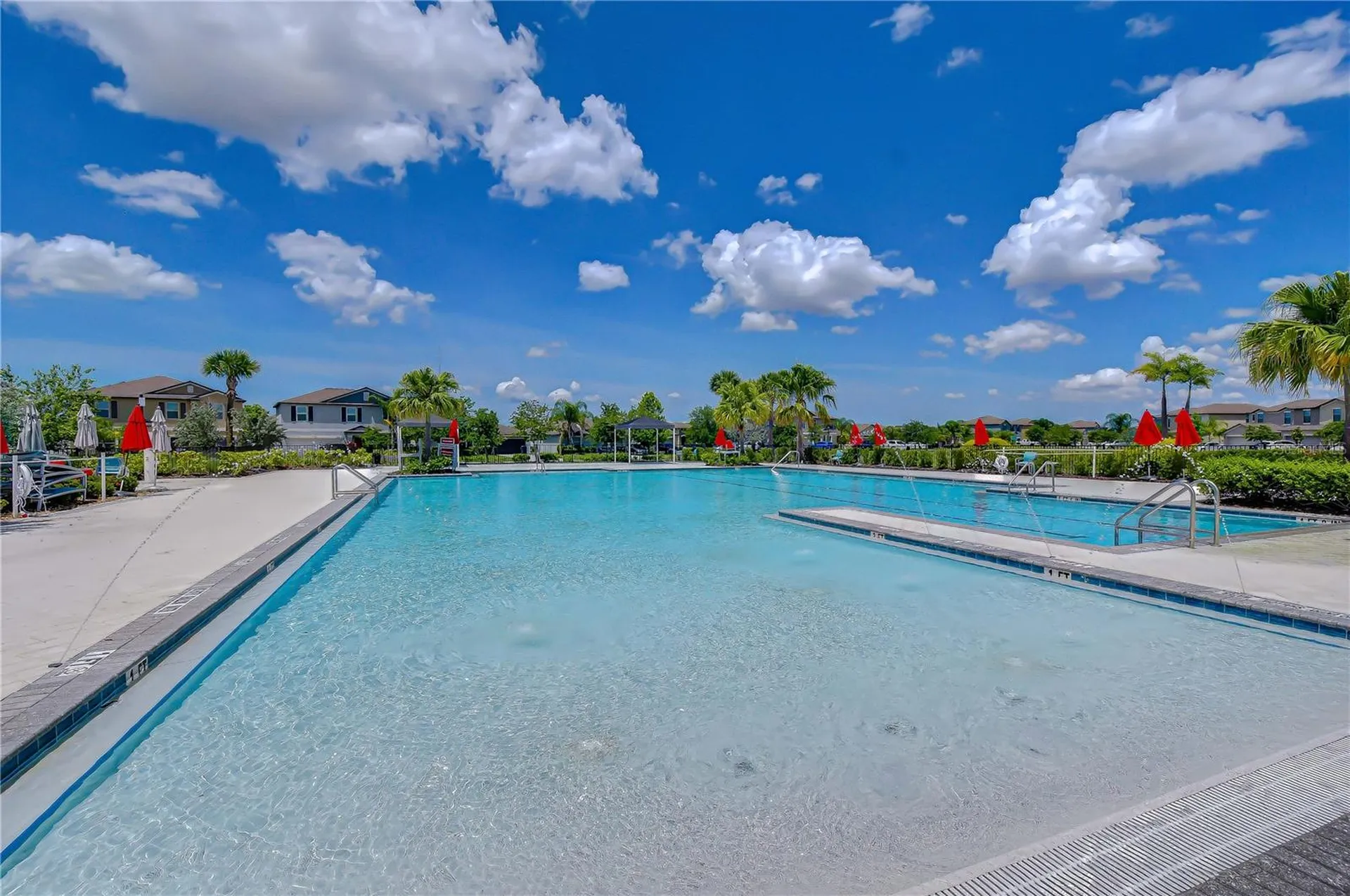 4321 Globe Thistle Drive Tampa FL 33619