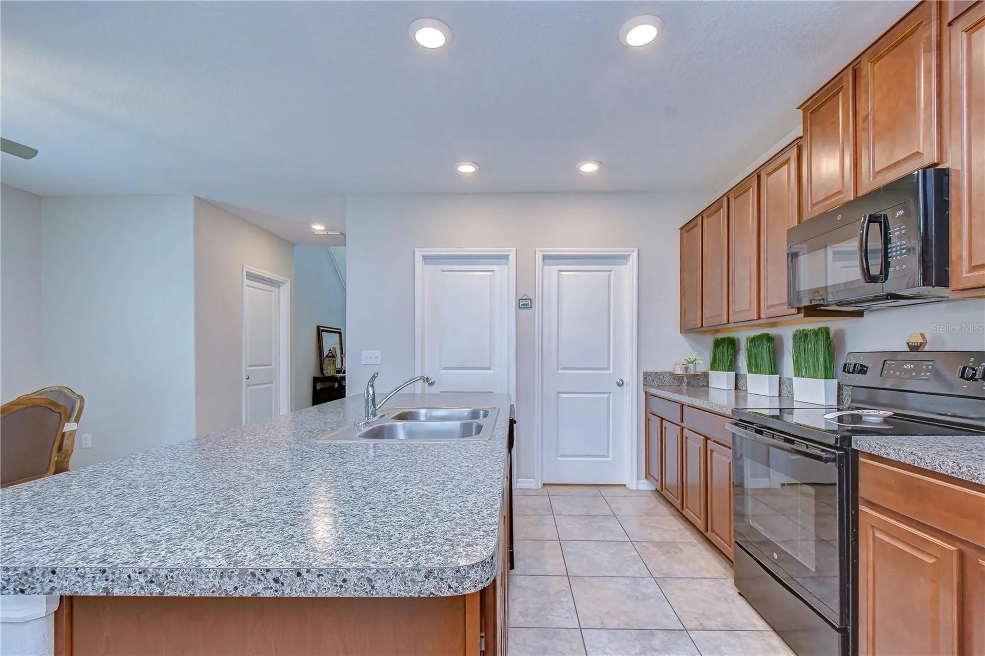 4321 Globe Thistle Drive Tampa FL 33619