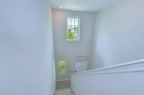 4321 Globe Thistle Drive Tampa FL 33619