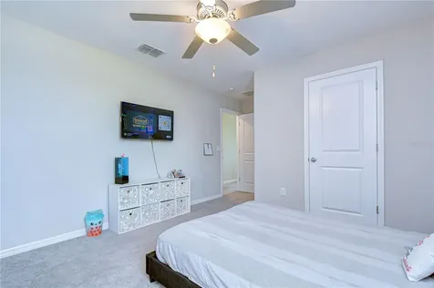 4321 Globe Thistle Drive Tampa FL 33619