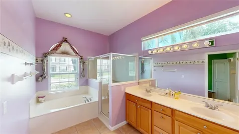 529 Belhaven Falls Drive Ocoee FL 34761