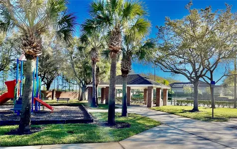 529 Belhaven Falls Drive Ocoee FL 34761