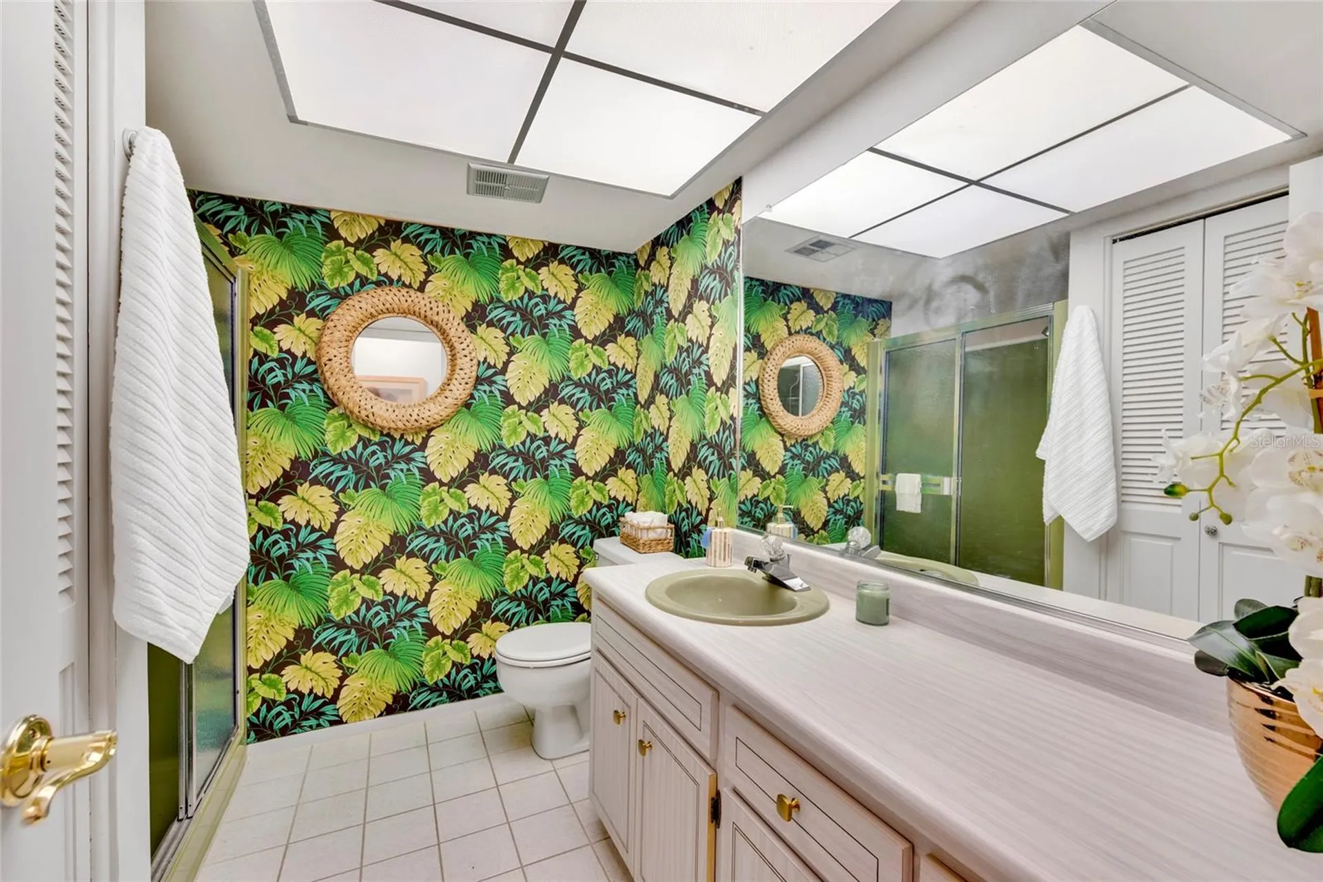 1608 Whitebridge Drive Palm Harbor FL 34684