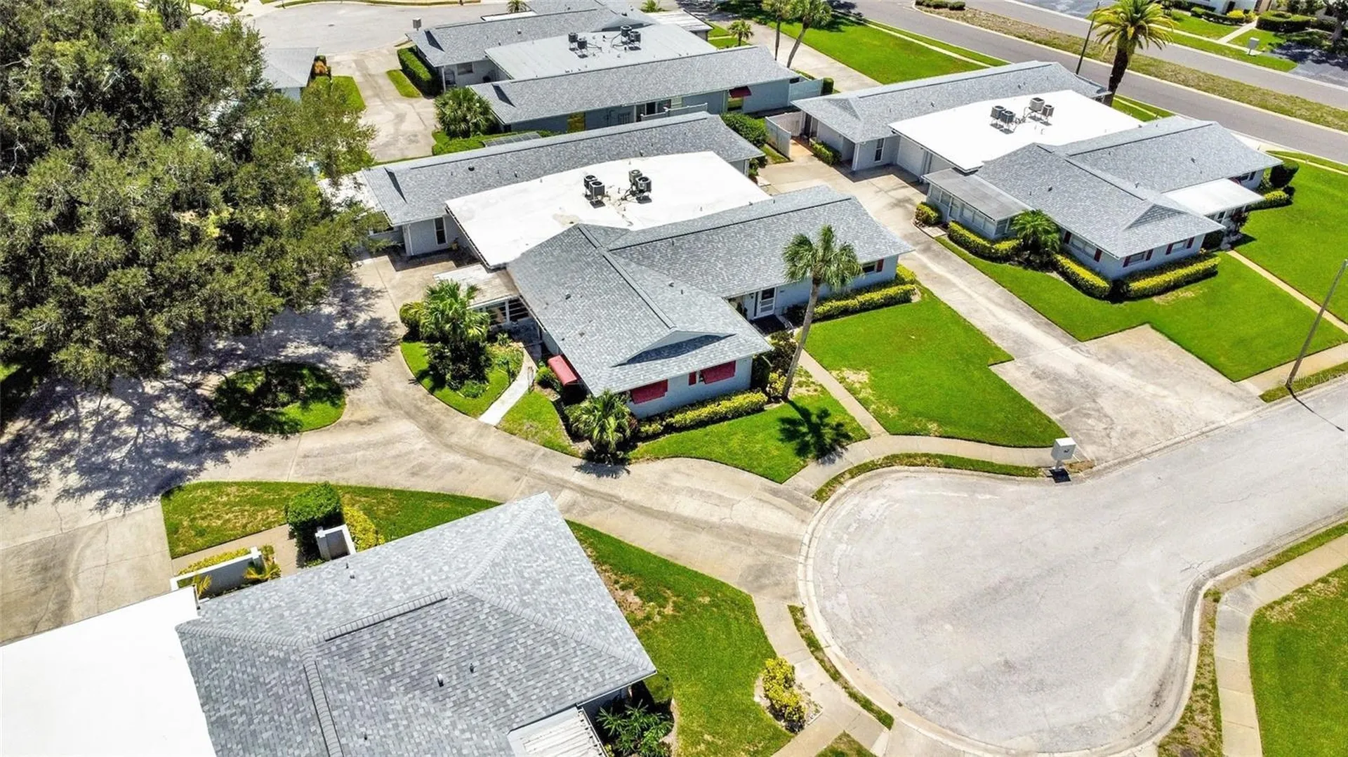 1608 Whitebridge Drive Palm Harbor FL 34684
