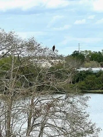 700 Mirror Terrace NW Winter Haven FL 33880