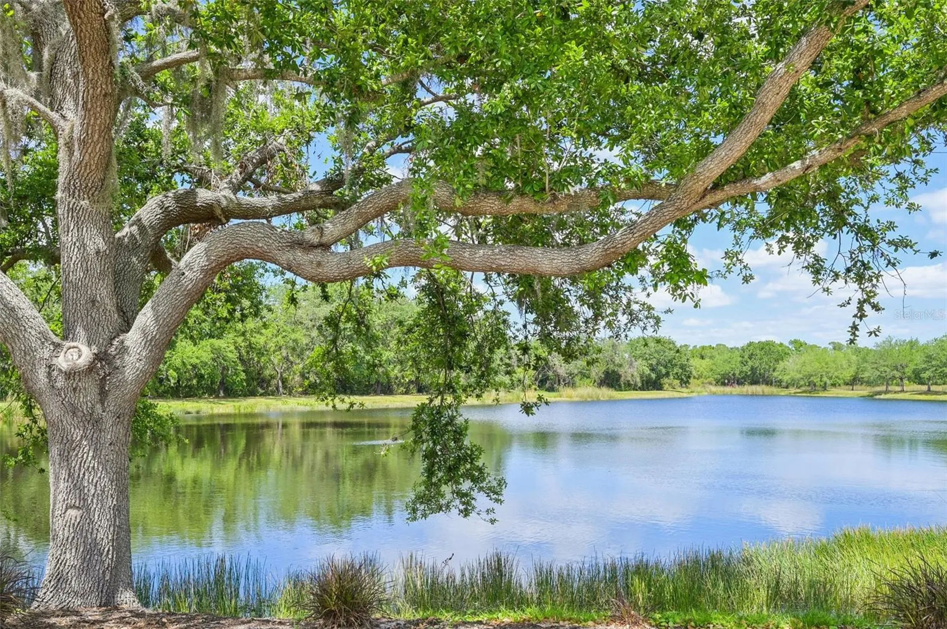 1007 Calico Glen Bradenton FL 34212