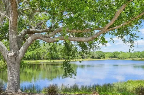 1007 Calico Glen Bradenton FL 34212
