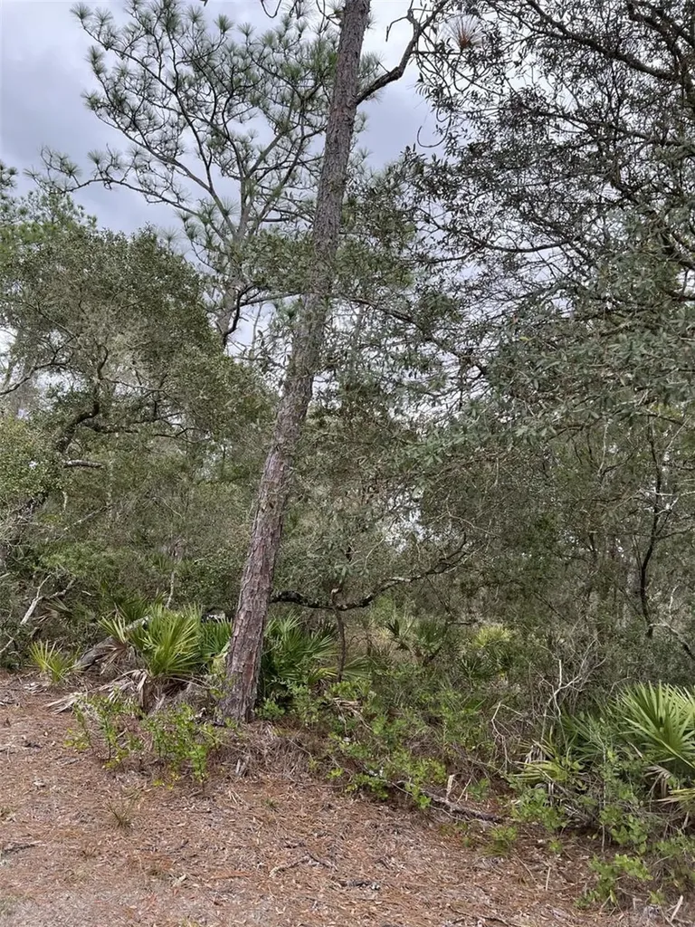 0 NE 144th Court Fort Mc Coy FL 32134