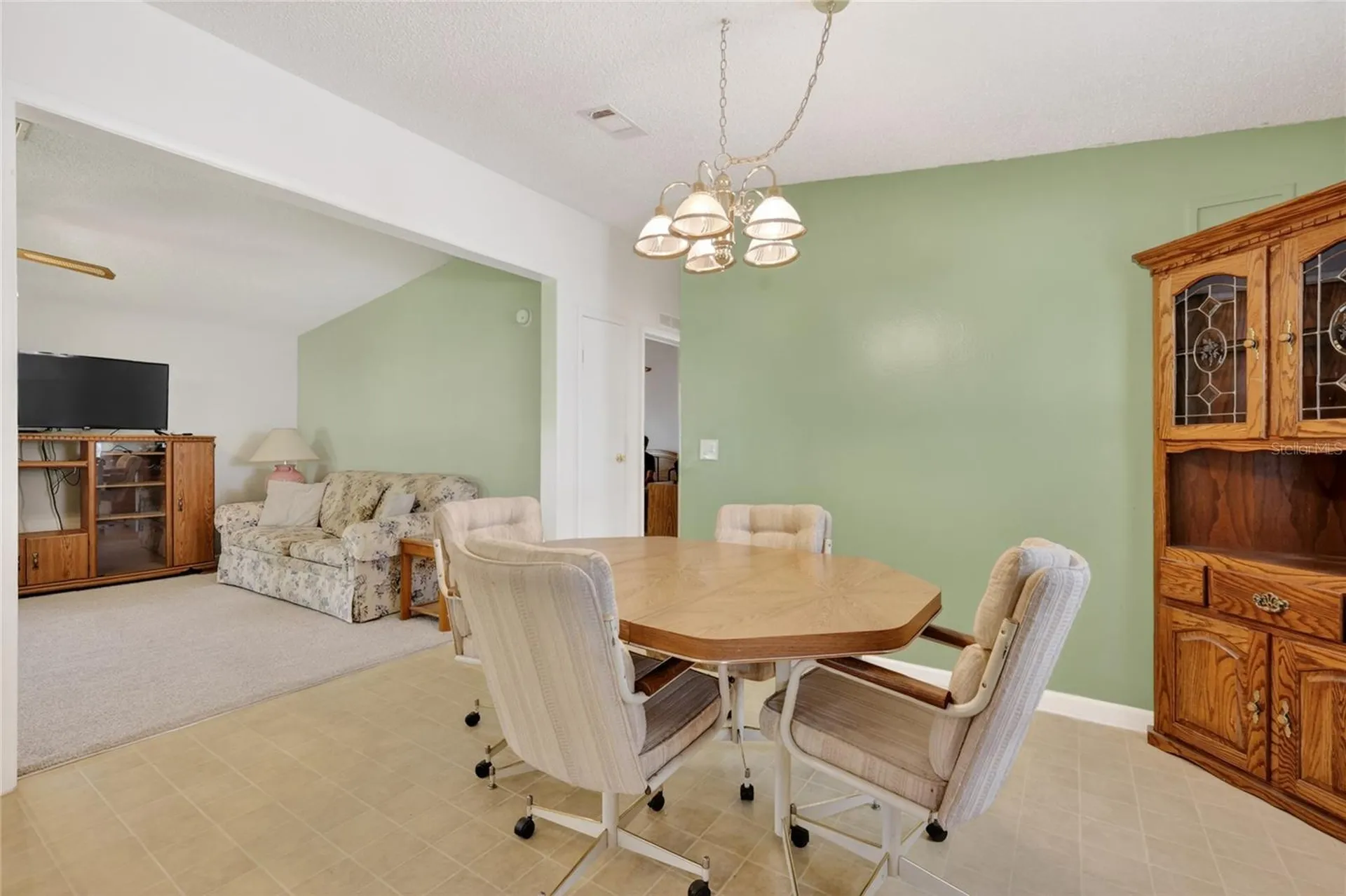 1617 Cypress Point The Villages FL 32159