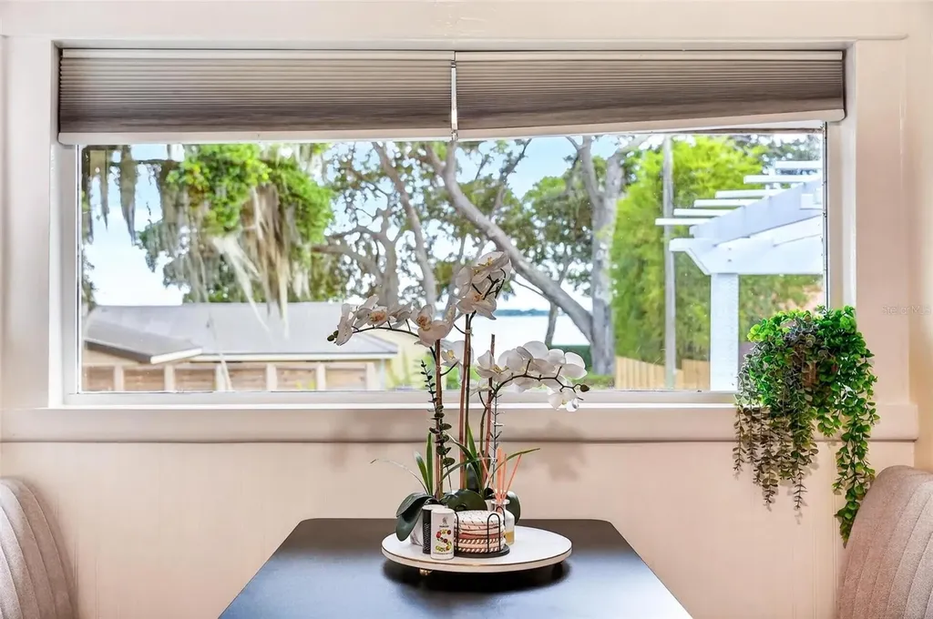 1099 Grove Avenue Mount Dora FL 32757