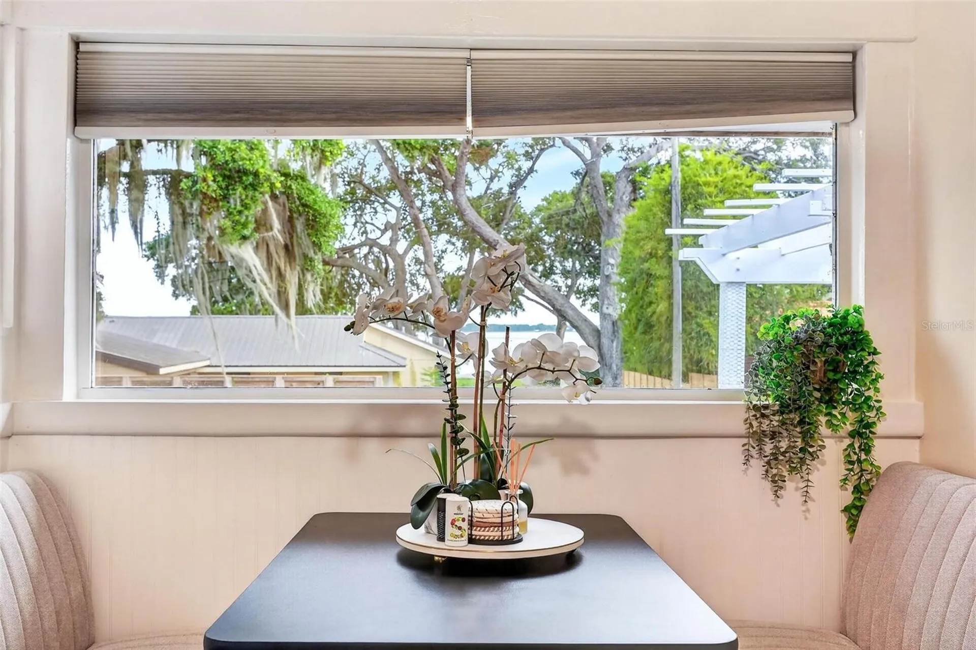 1099 Grove Avenue Mount Dora FL 32757