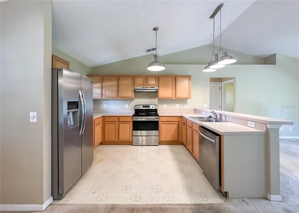 224 Faulkner Street Winter Garden FL 34787