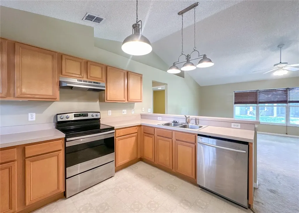 224 Faulkner Street Winter Garden FL 34787