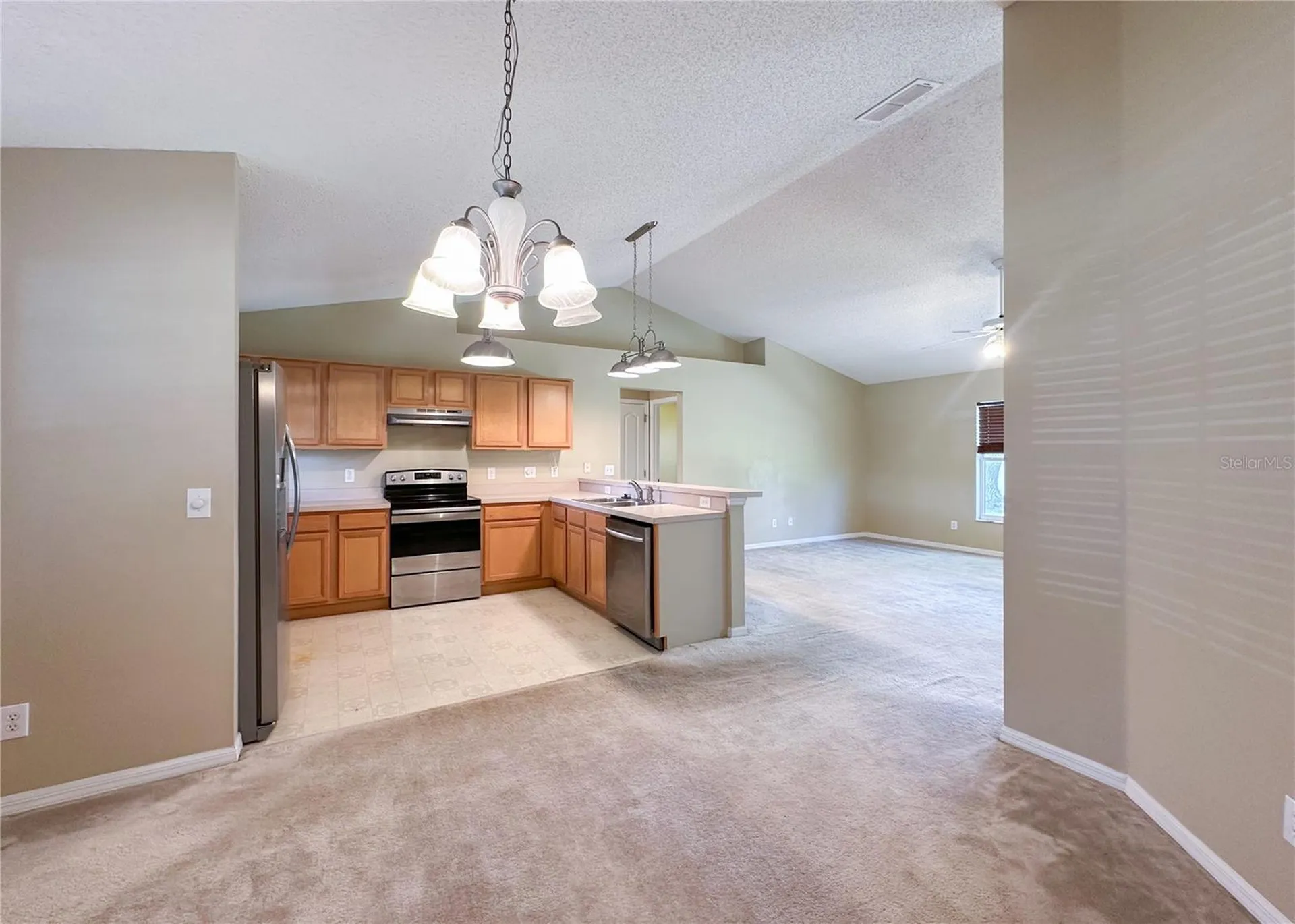 224 Faulkner Street Winter Garden FL 34787