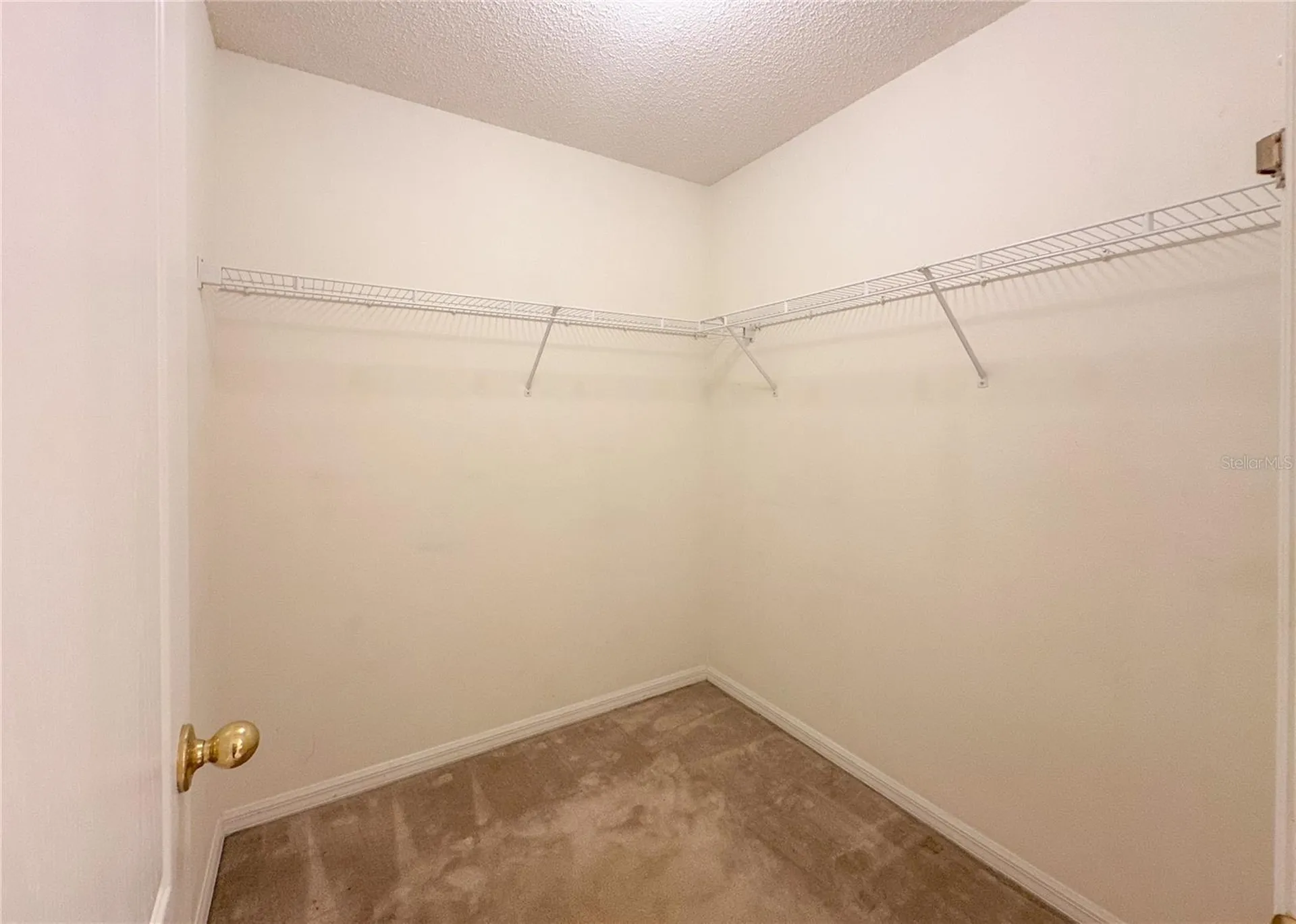 224 Faulkner Street Winter Garden FL 34787