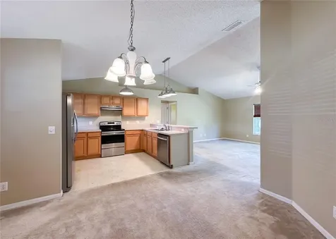 224 Faulkner Street Winter Garden FL 34787