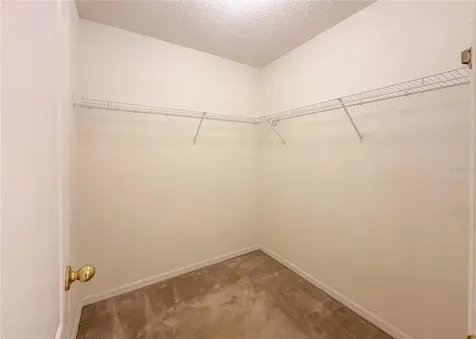 224 Faulkner Street Winter Garden FL 34787