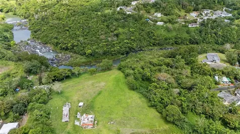 7731 Barrio Rincon Cidra PR 00739