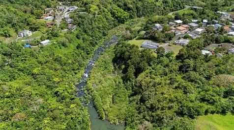 7731 Barrio Rincon Cidra PR 00739