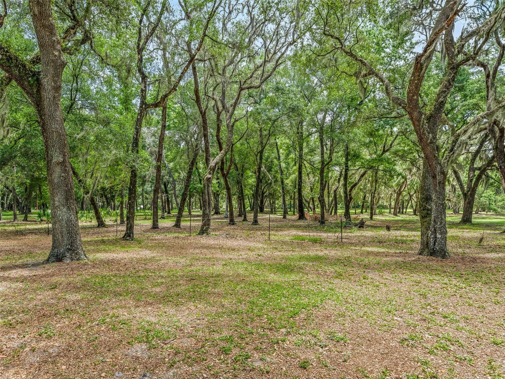 4801 County Road 575 Bushnell FL 33513