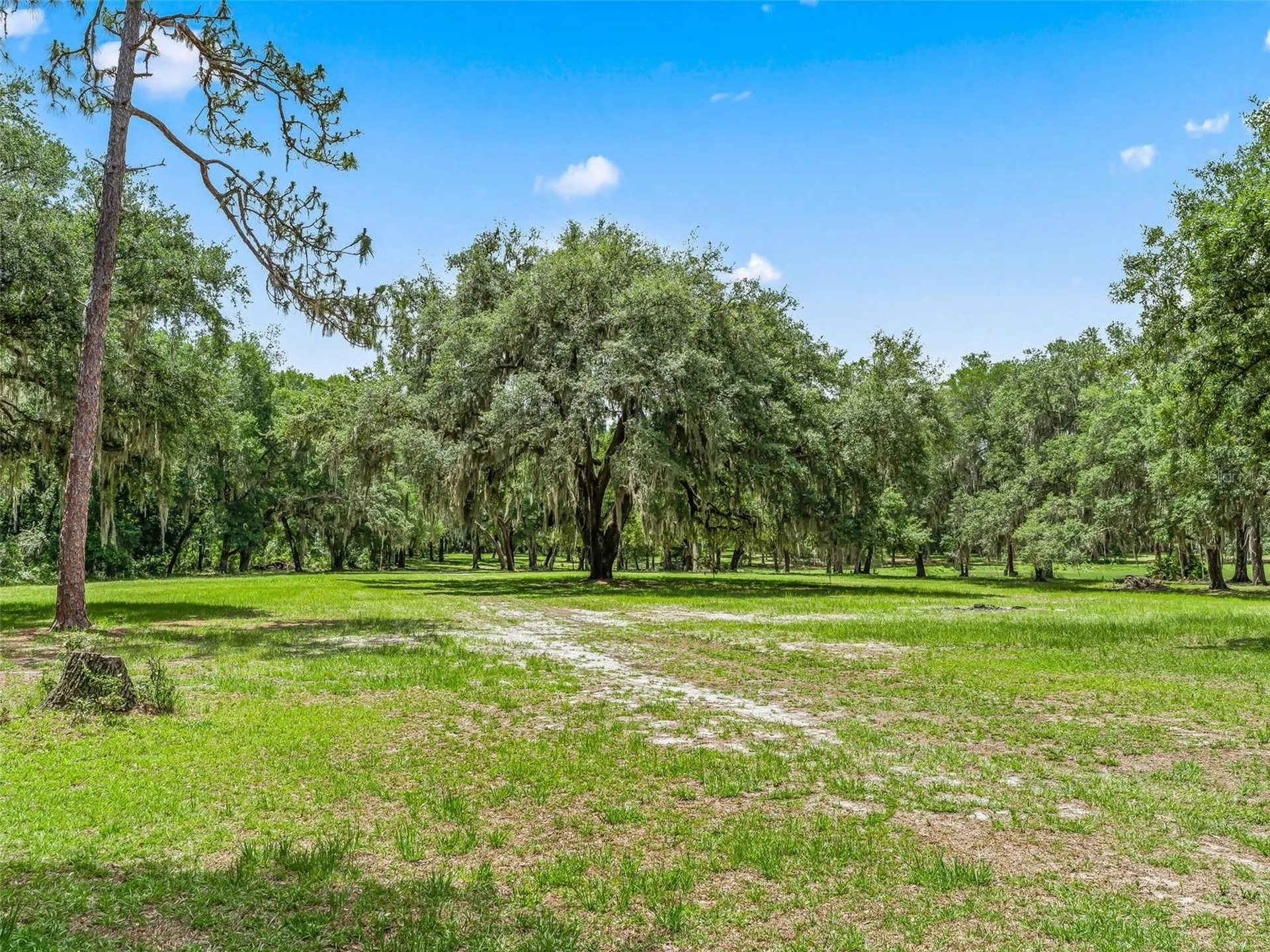 4801 County Road 575 Bushnell FL 33513