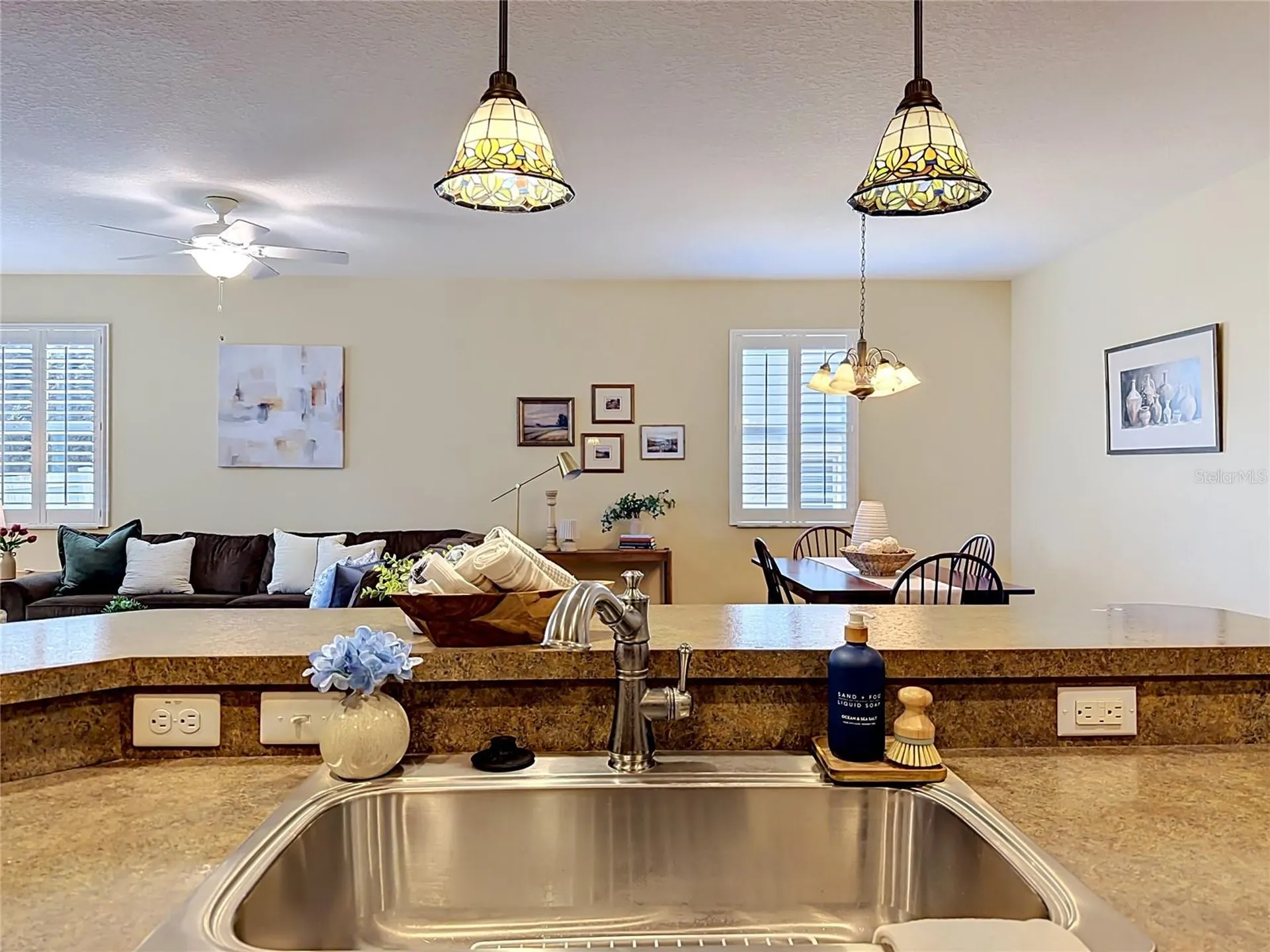 1764 Dunedin Drive Tavares FL 32778