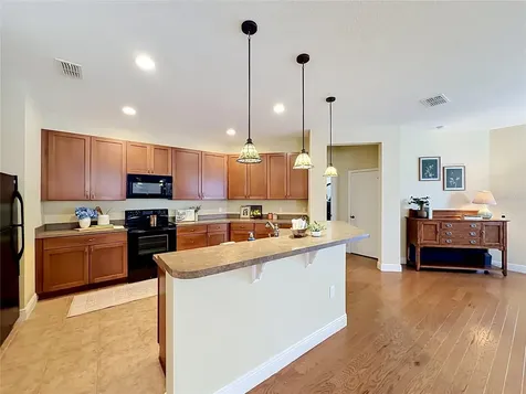 1764 Dunedin Drive Tavares FL 32778