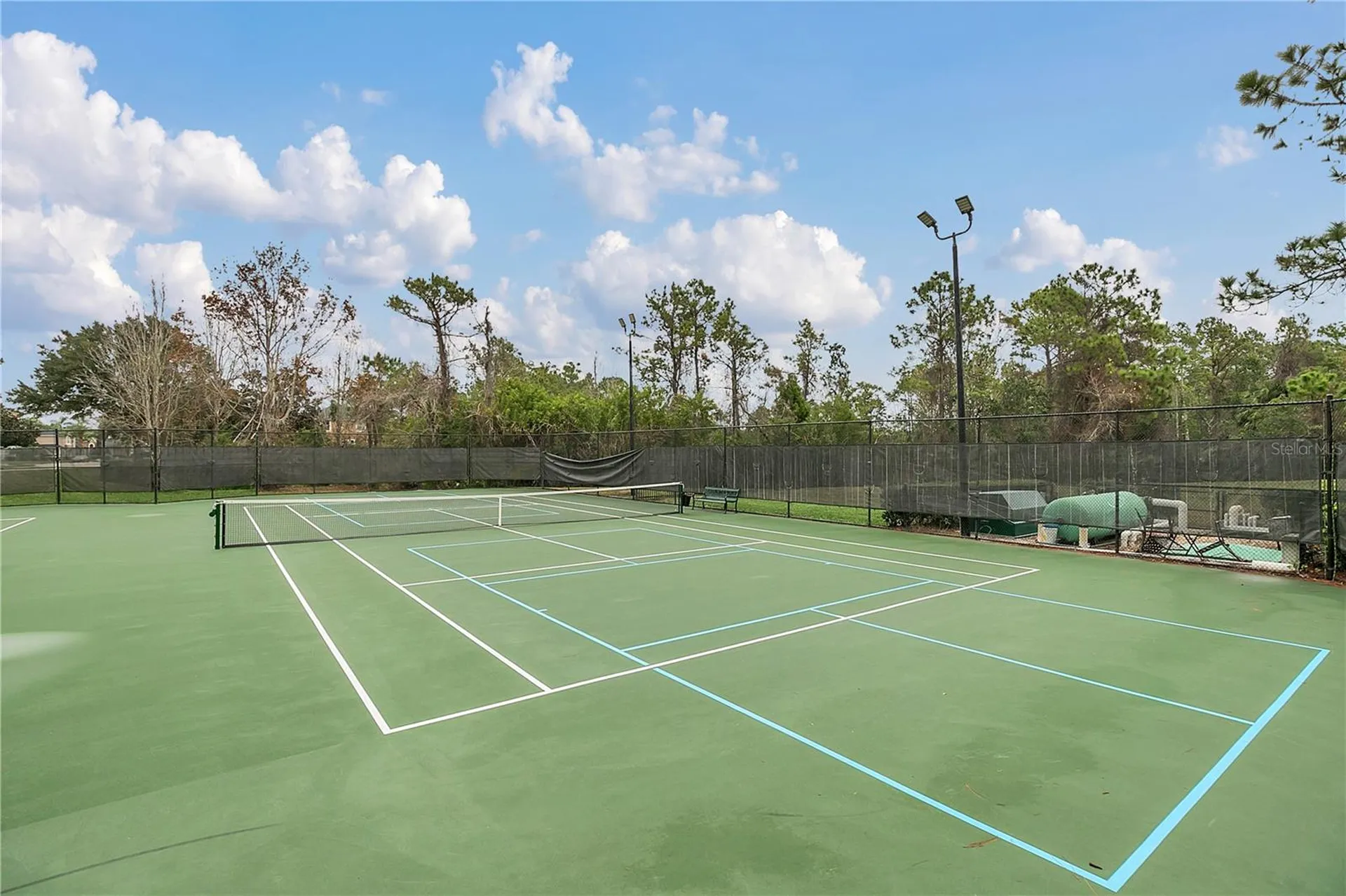3904 Heirloom Rose Place Oviedo FL 32766