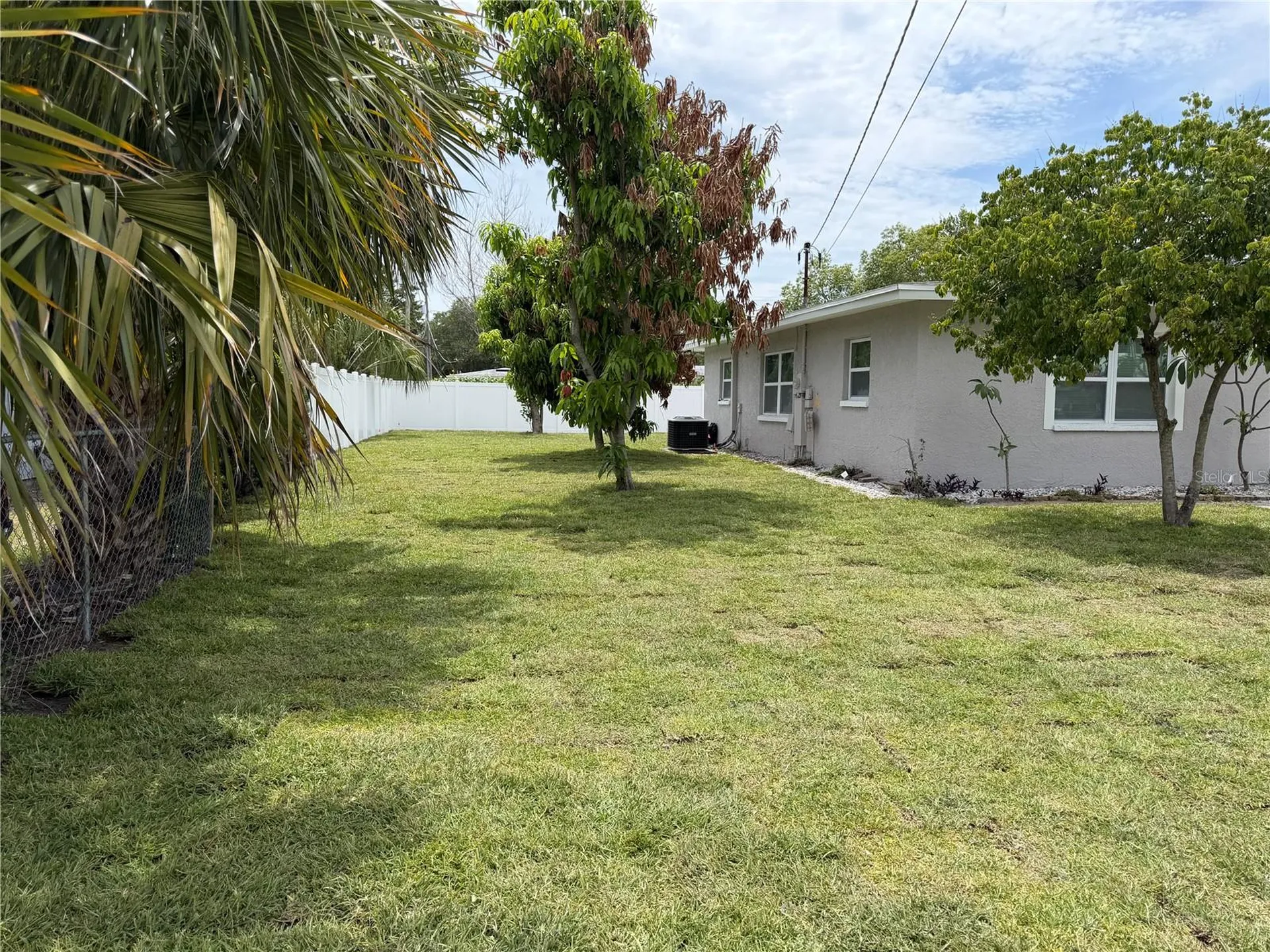 7005 Thrasher Drive Tampa FL 33610