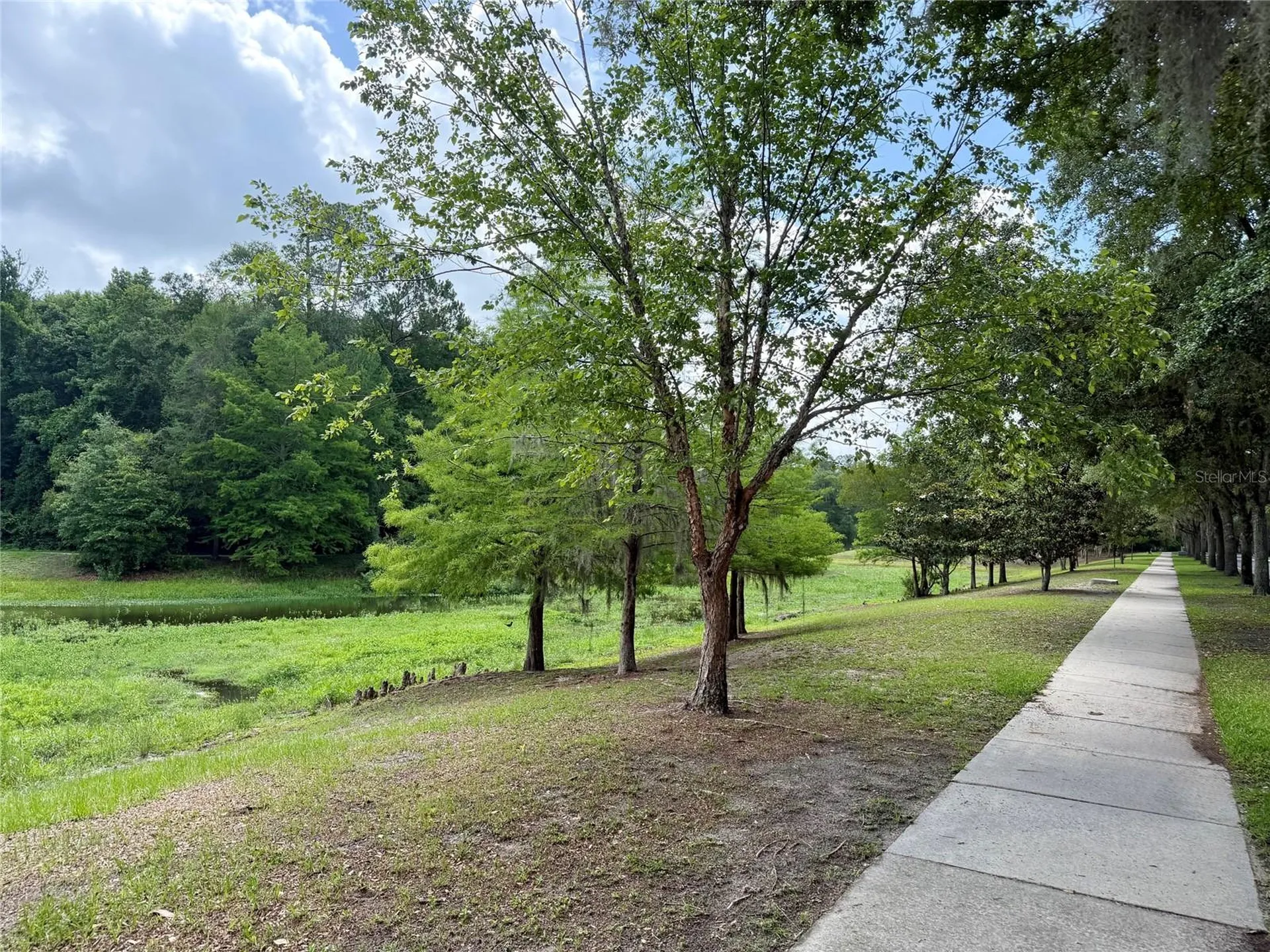 2339 NW 31st Place Gainesville FL 32605
