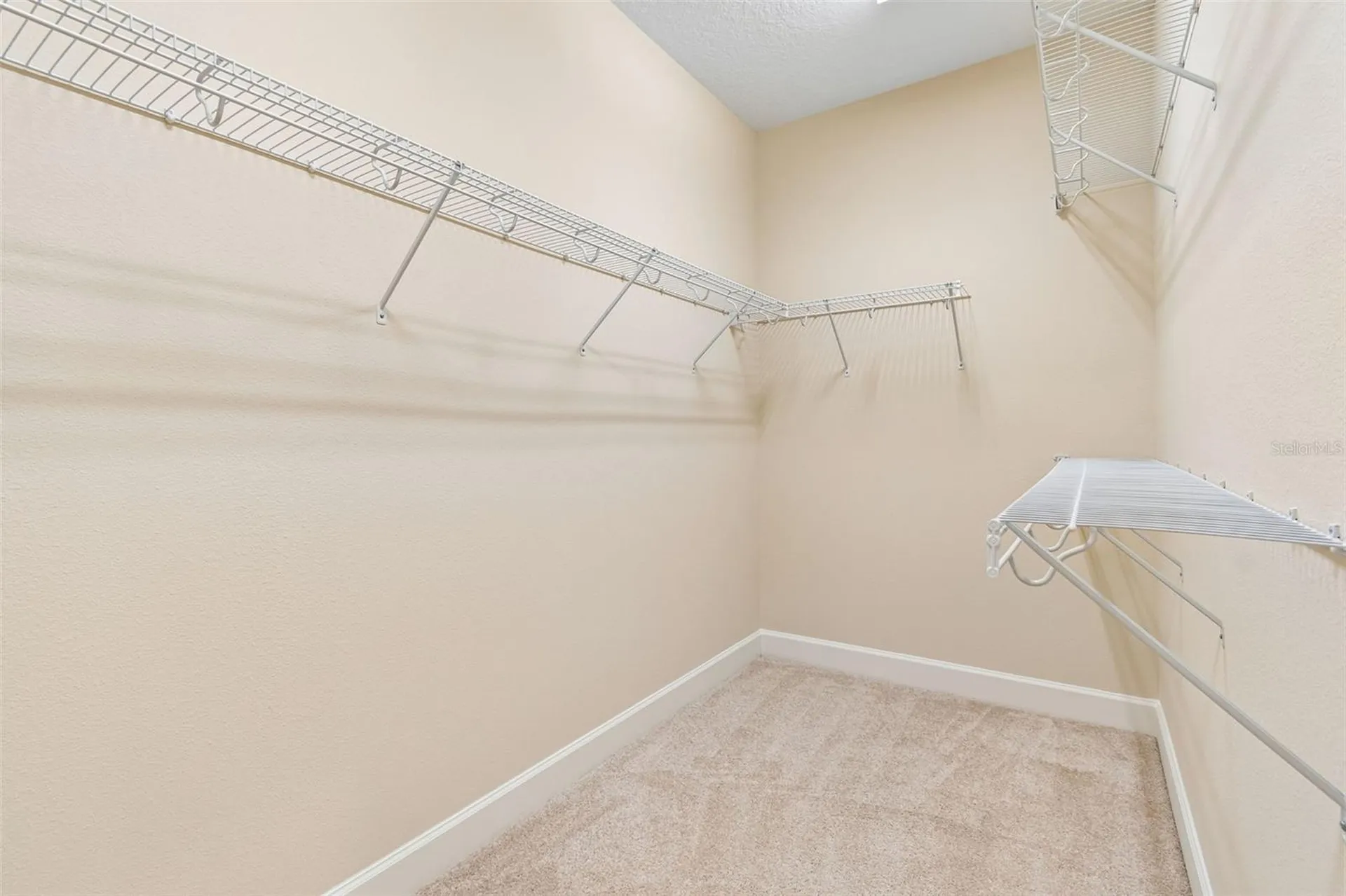 606 Cabernet Way Oldsmar FL 34677