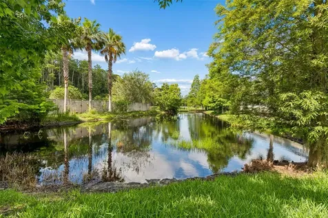 606 Cabernet Way Oldsmar FL 34677
