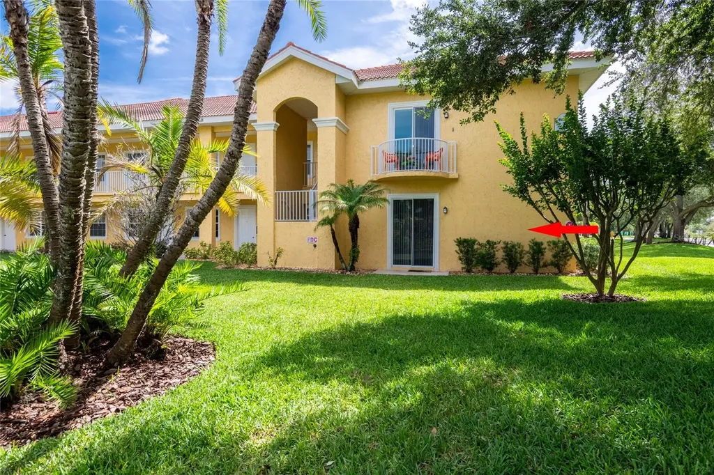 6714 Dali Avenue Land O Lakes FL 34637