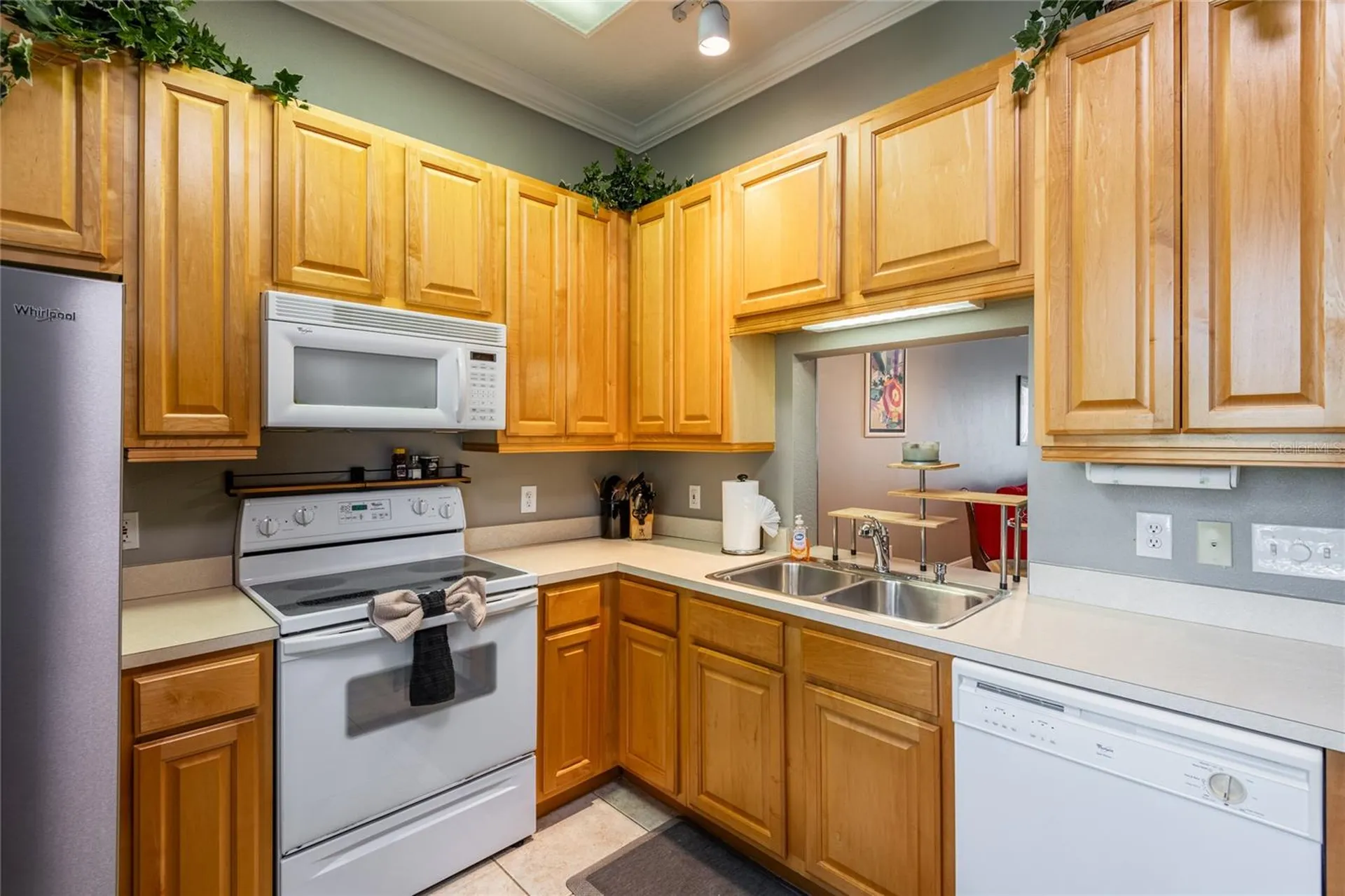 6714 Dali Avenue Land O Lakes FL 34637