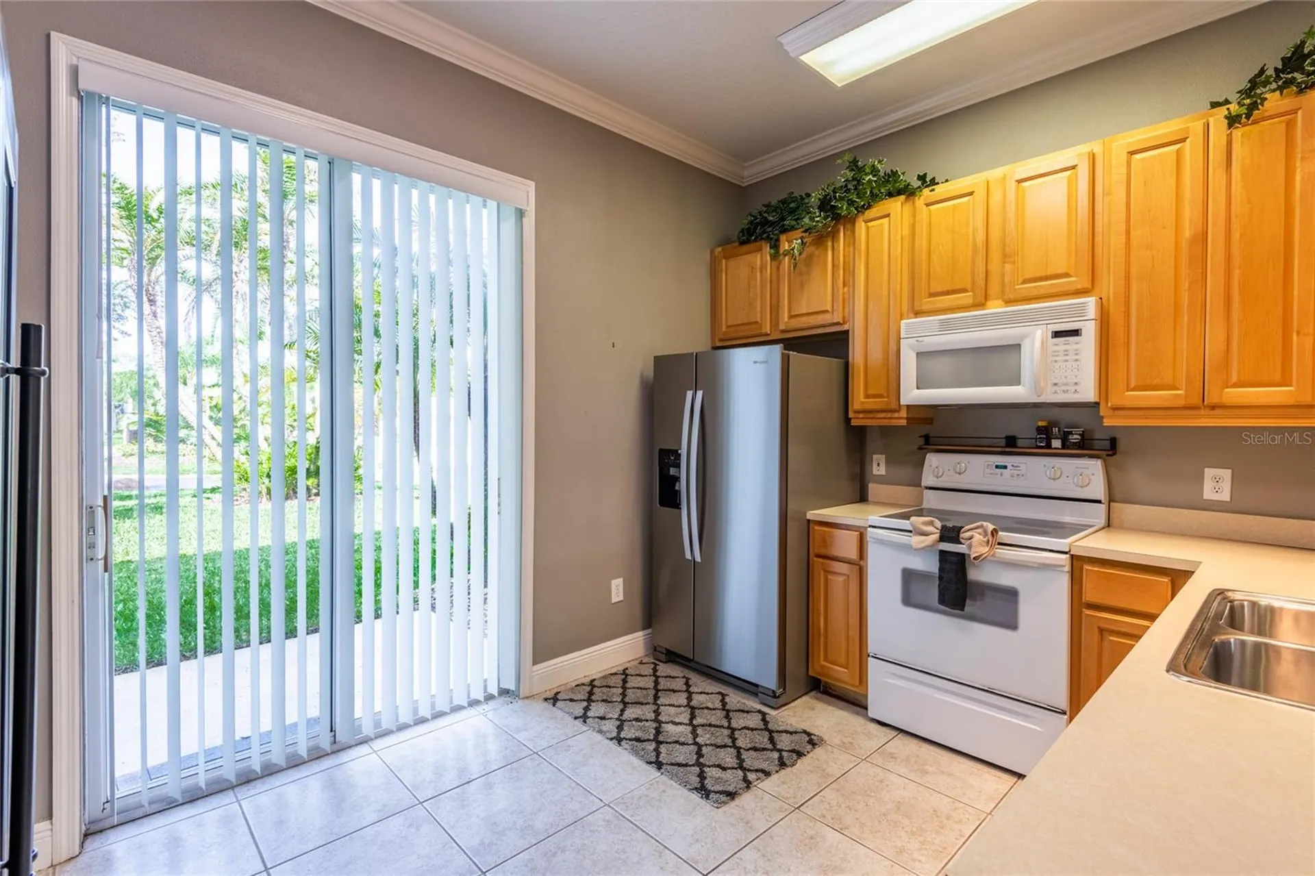 6714 Dali Avenue Land O Lakes FL 34637