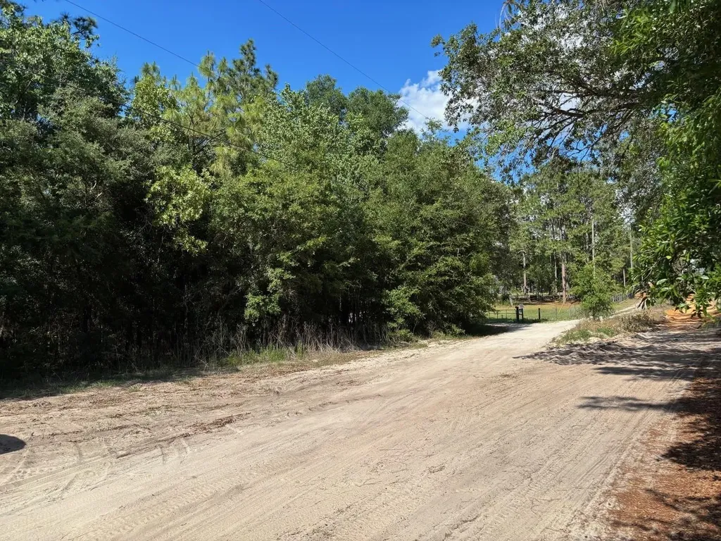0B SW 93rd Place Dunnellon FL 34432