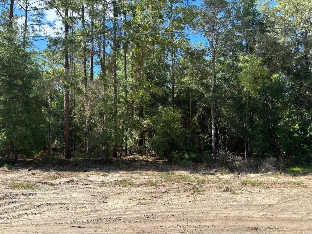 0B SW 93rd Place Dunnellon FL 34432