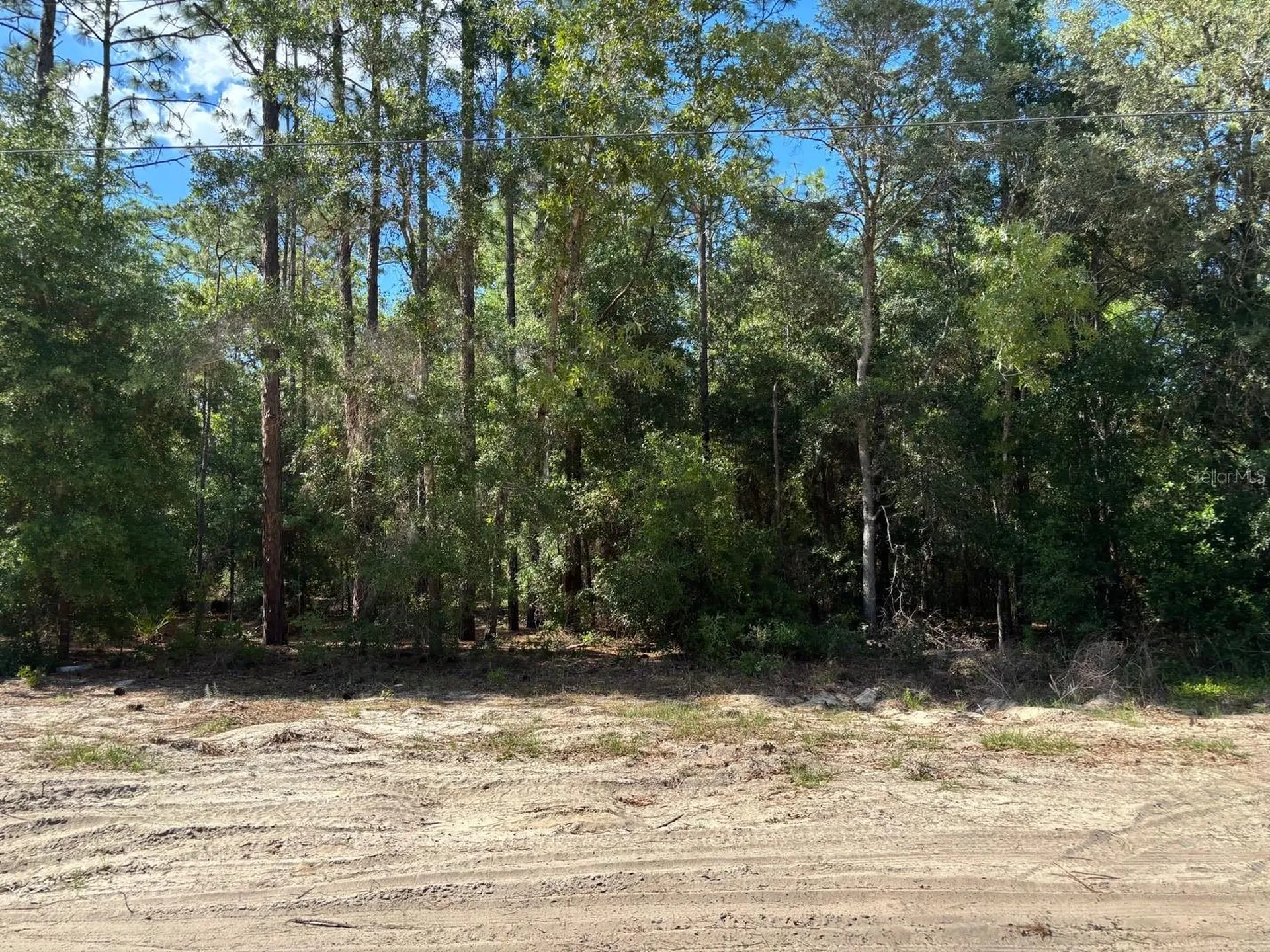 0B SW 93rd Place Dunnellon FL 34432