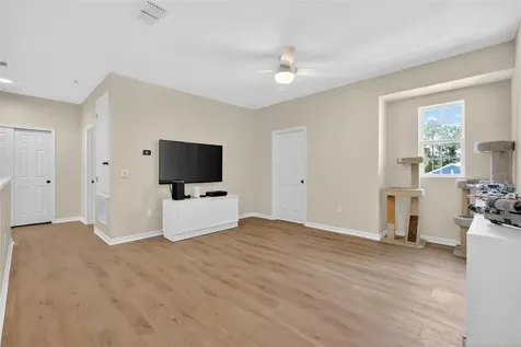 3262 Plumlee Court Grand Island FL 32735