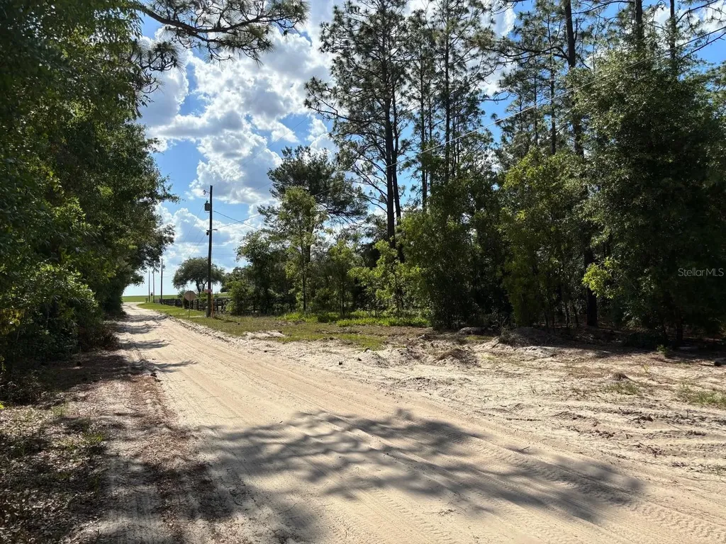 0A SW 93rd Place Dunnellon FL 34432