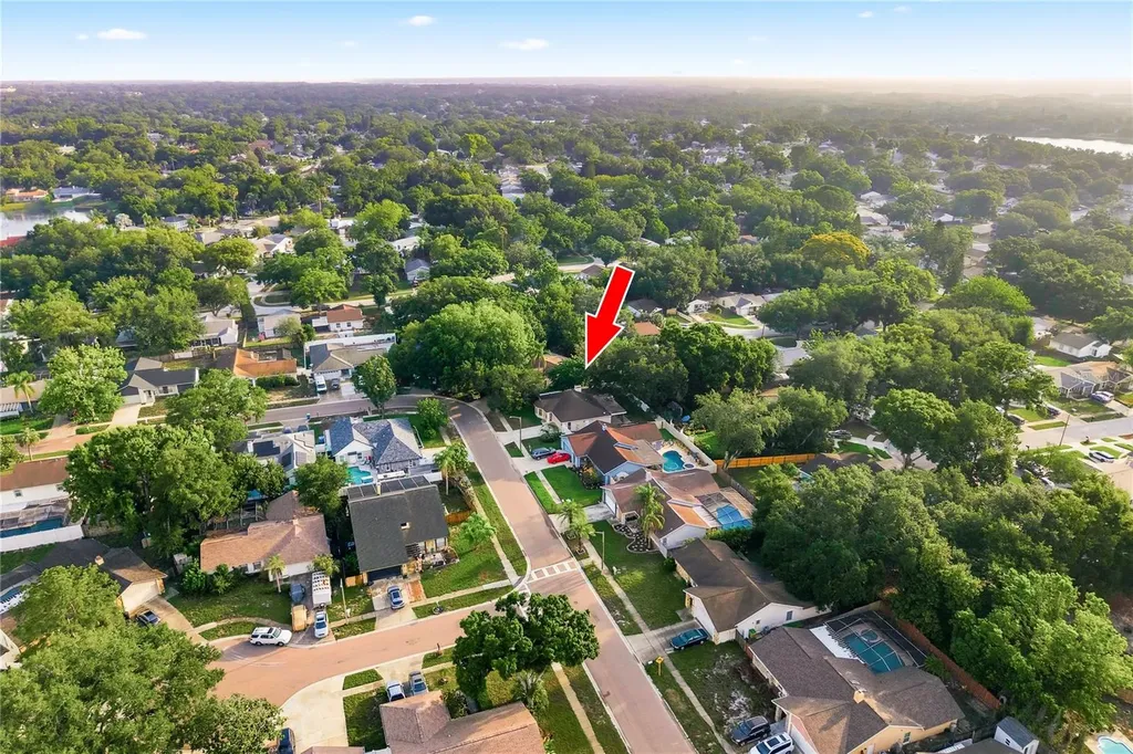 3791 Orchard Highlands Drive Palm Harbor FL 34684