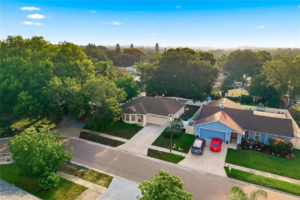 3791 Orchard Highlands Drive Palm Harbor FL 34684