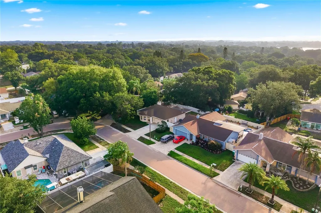 3791 Orchard Highlands Drive Palm Harbor FL 34684