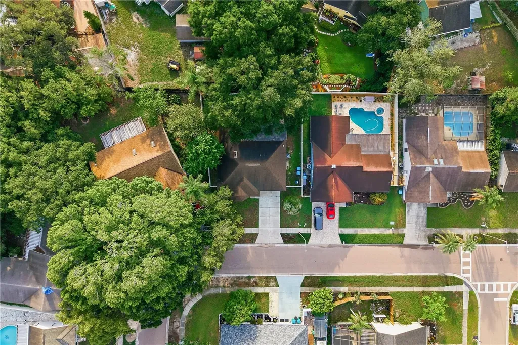 3791 Orchard Highlands Drive Palm Harbor FL 34684