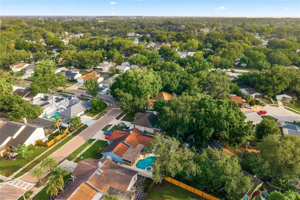 3791 Orchard Highlands Drive Palm Harbor FL 34684