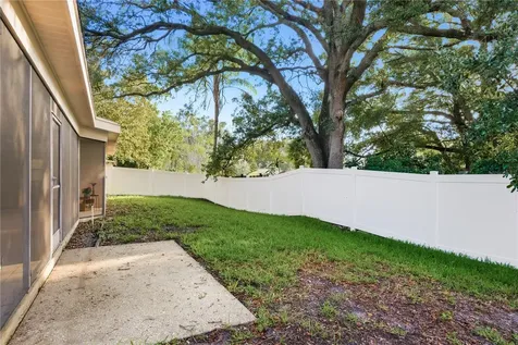 3791 Orchard Highlands Drive Palm Harbor FL 34684