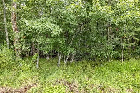 321 Waterford Circle E Tarpon Springs FL 34688