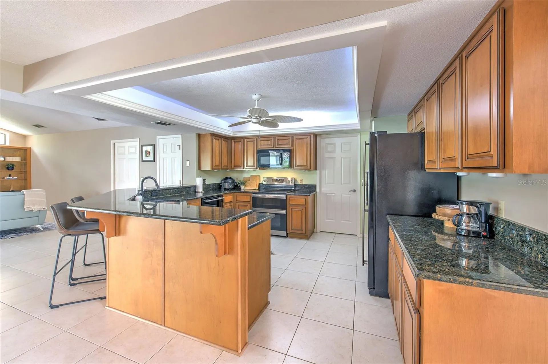 3816 Buckingham Loop Drive Valrico FL 33594